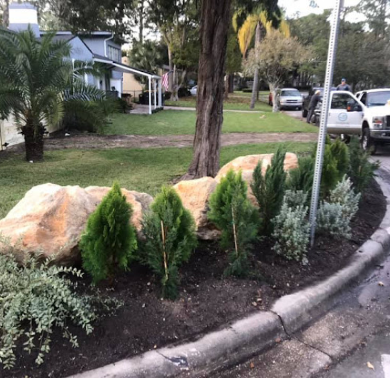 jacksonville landscaping company