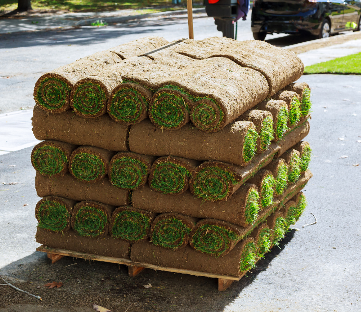 sod installation company