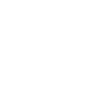 Driver's license showcasing identification details.